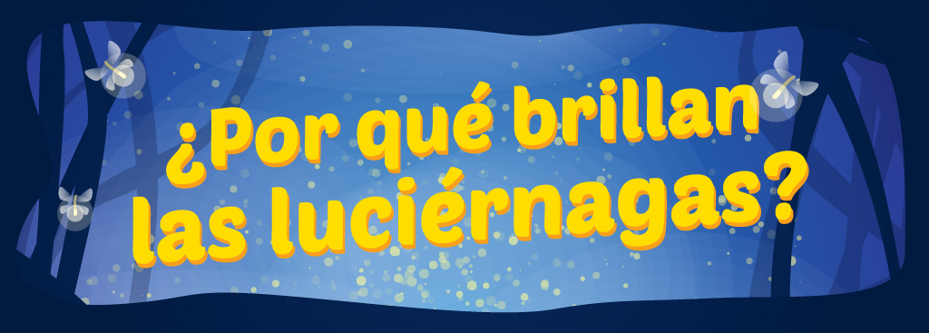 BLOG-luciernagas1