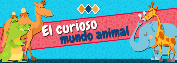 EL CURIOSO MUNDO ANIMAL