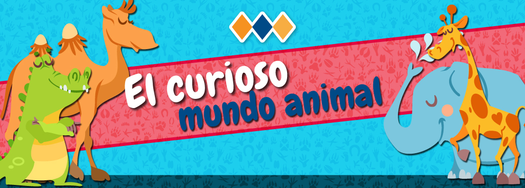 BLOG-mundoanimal