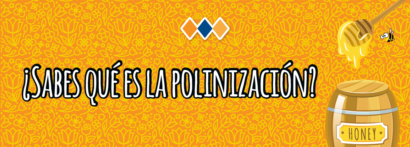 BLOG-polinizacion
