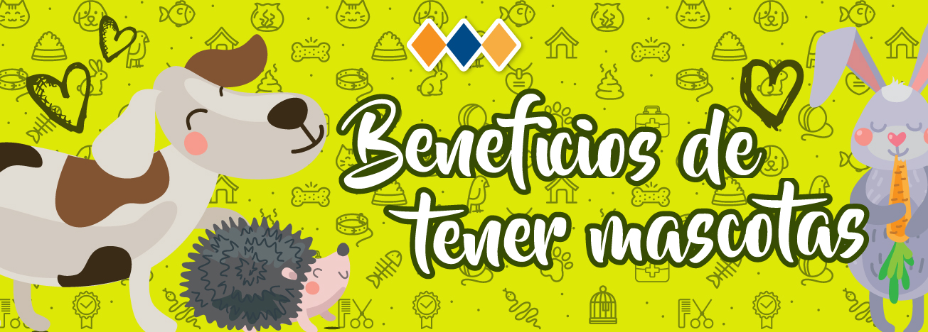 blog-mascotas2