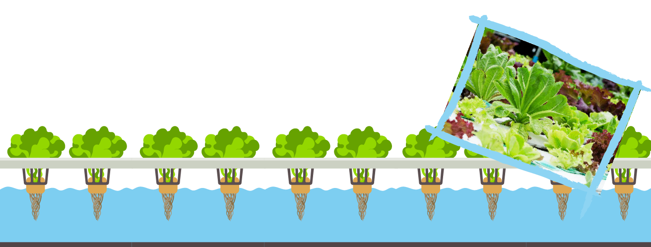 BLOG-jardin