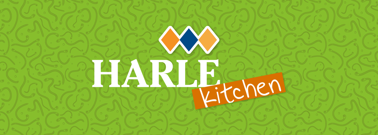 BLOG-harlekitchenanimales (1)