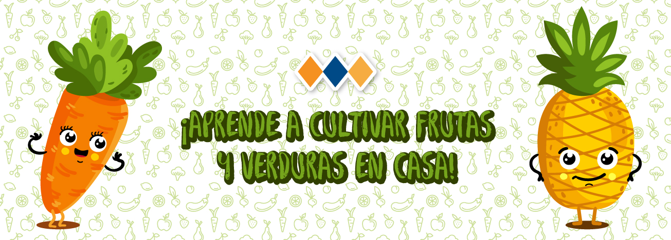 BLOG-cultivar